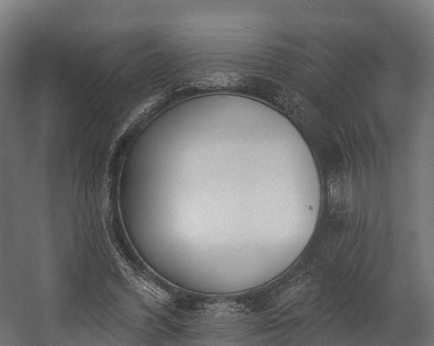 X0000058810396200510031352