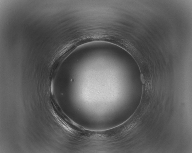 X0000058810397200510031352