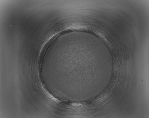 X0000058810399200510031352