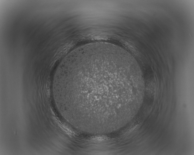 X0000058810402200510031352