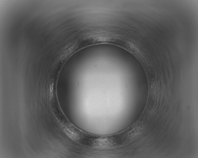 X0000058810406200510031352