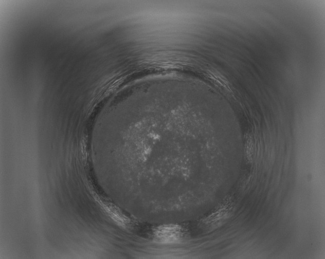 X0000058810410200510031352