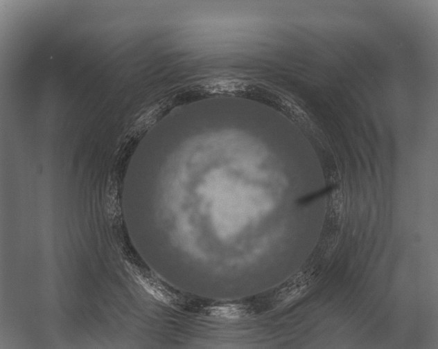 X0000058810411200510031352