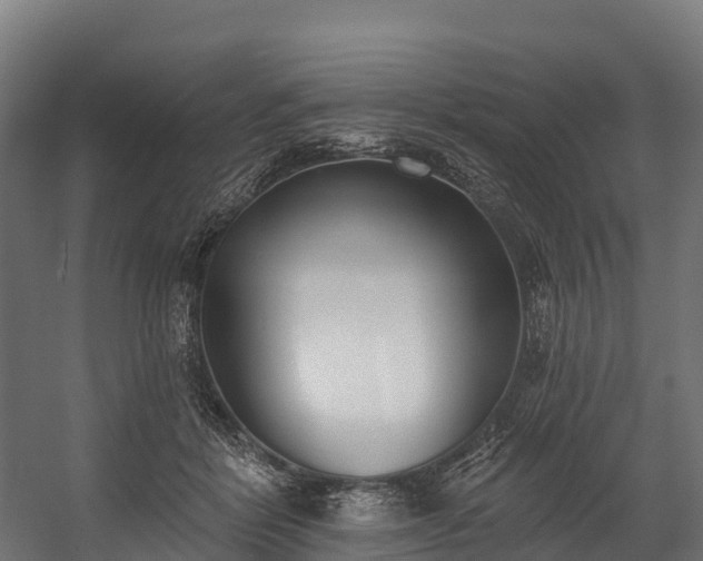 X0000058810412200510031352