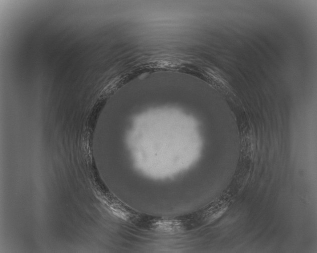 X0000058810415200510031352