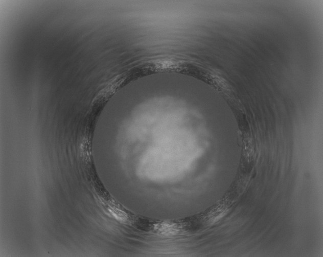 X0000058810419200510031352