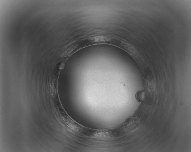 X0000058810422200510031352