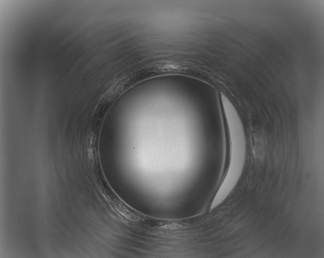 X0000058810423200510031352