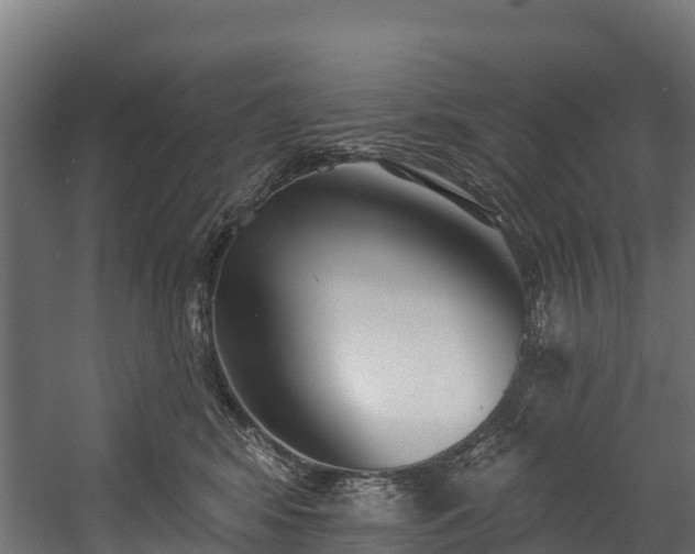 X0000058810424200510031352