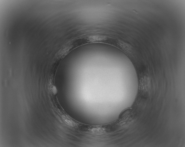 X0000058810426200510031352