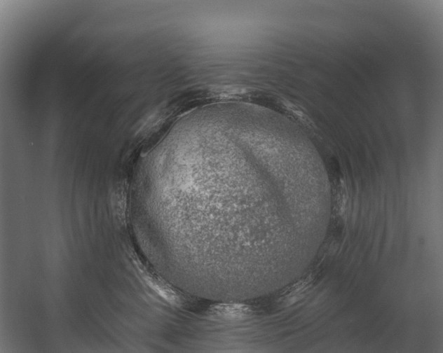 X0000058810427200510031352