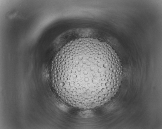 X0000058810431200510031352