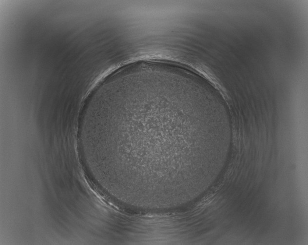 X0000058810434200510031351