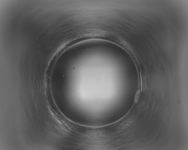 X0000058810435200510031351