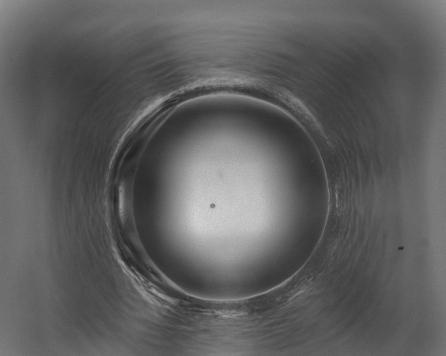 X0000058810436200510031351