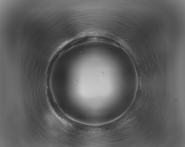 X0000058810438200510031351