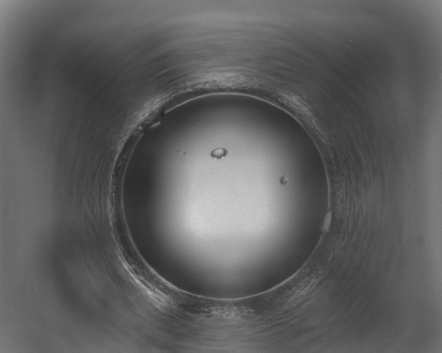 X0000058810439200510031351