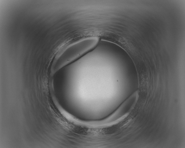 X0000058810440200510031351