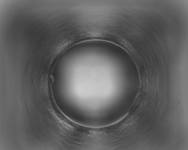 X0000058810442200510031351