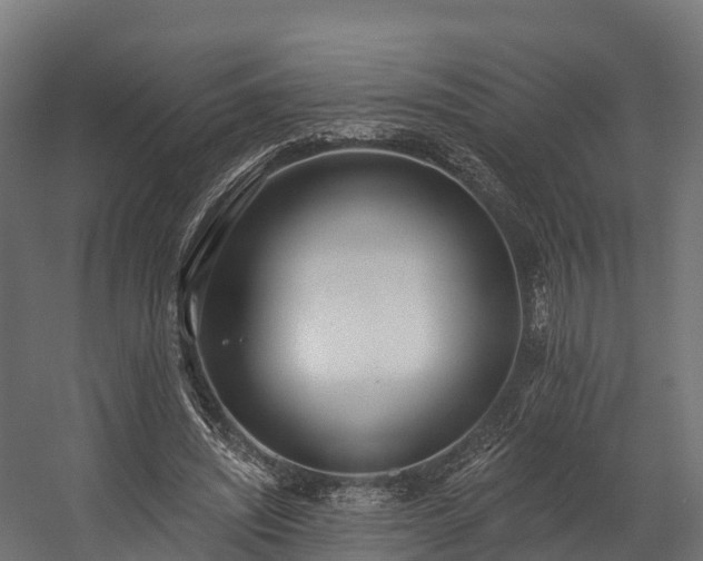 X0000058810444200510031351