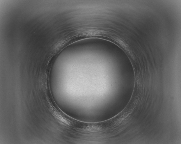 X0000058810445200510031351