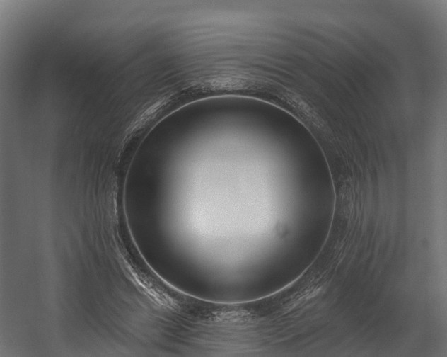 X0000058810446200510031351