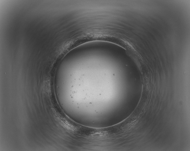 X0000058810447200510031351