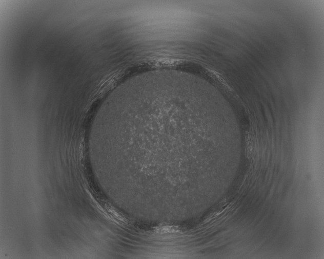 X0000058810451200510031351