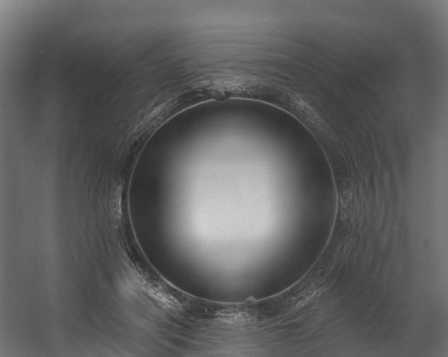 X0000058810454200510031351