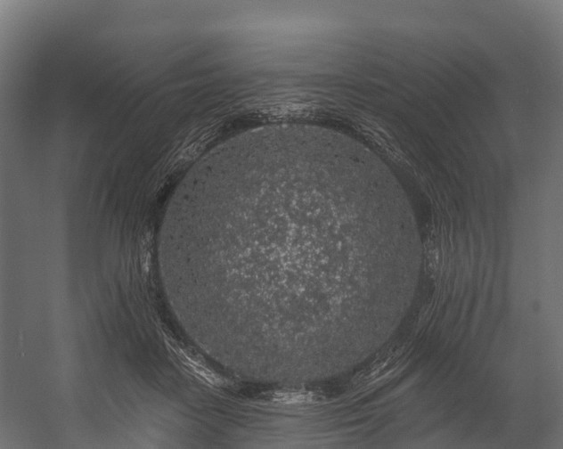 X0000058810458200510031351