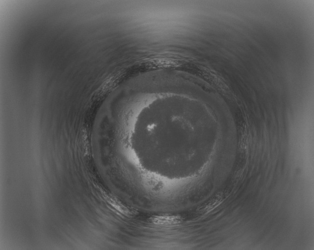 X0000058810465200510031351