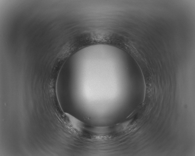 X0000058810466200510031351