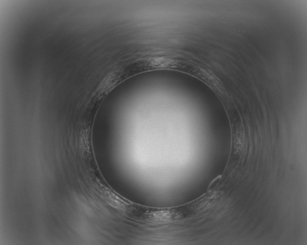 X0000058810473200510031351