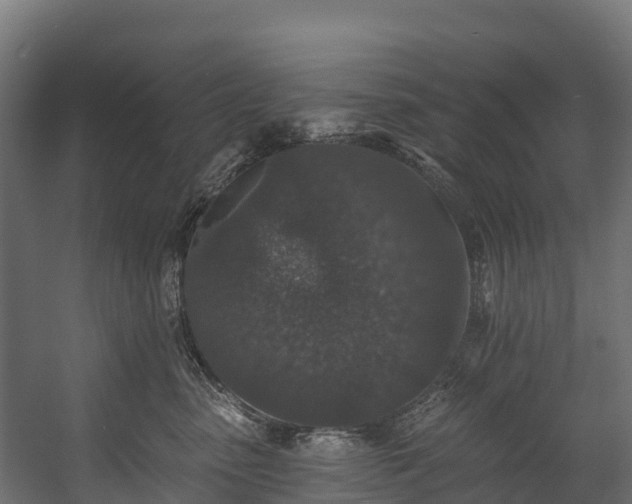 X0000058810475200510031351