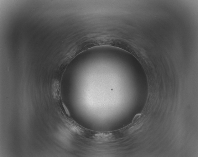 X0000058810480200510031352