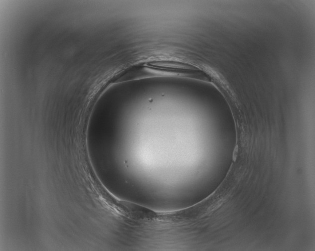 X0000058810481200510031351