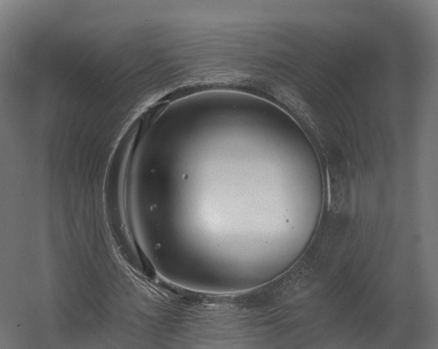 X0000058810483200510031351