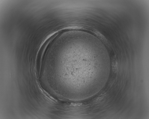 X0000058810484200510031351