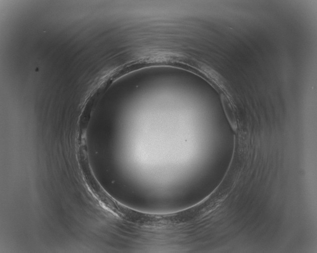 X0000058810485200510031351