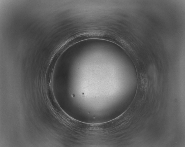 X0000058810487200510031351