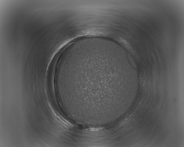 X0000058810488200510031351