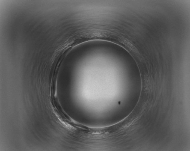 X0000058810489200510031351