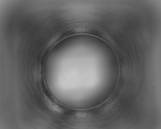 X0000058810490200510031351