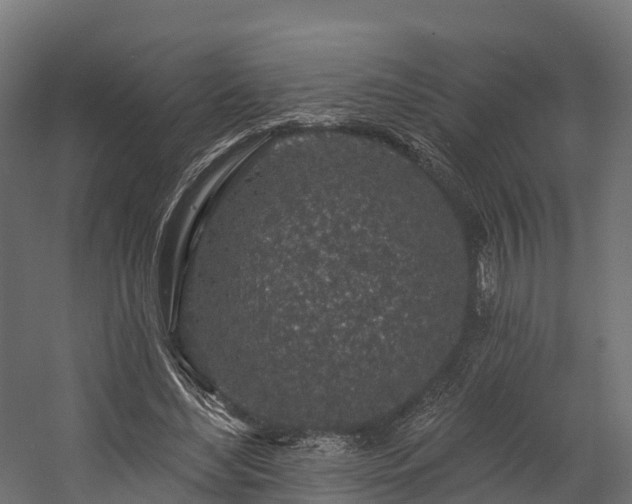 X0000058810492200510031351