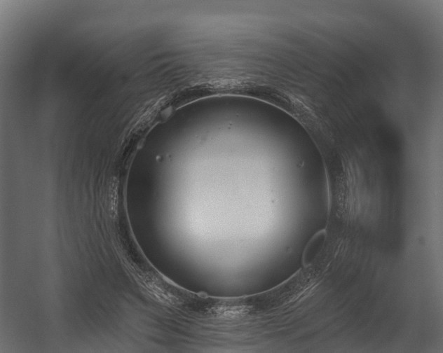 X0000058810495200510031351