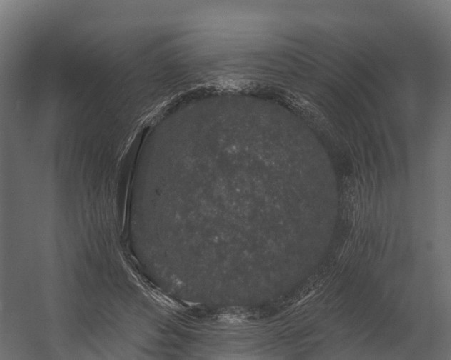 X0000058810496200510031350