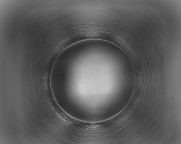 X0000058810497200510031350