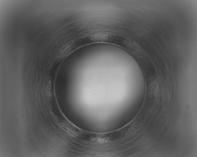 X0000058810498200510031350