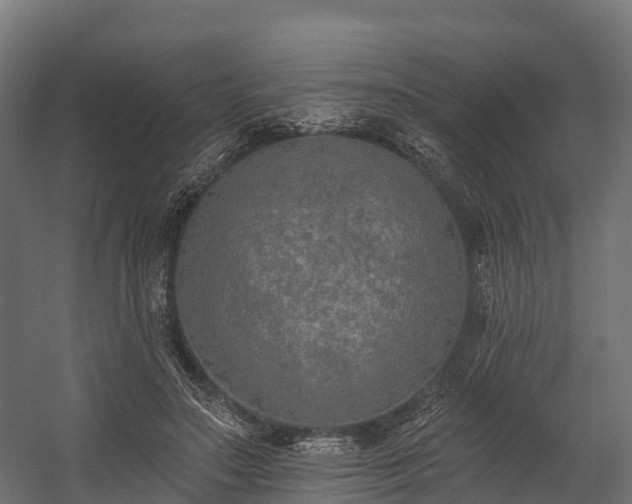 X0000058810499200510031350