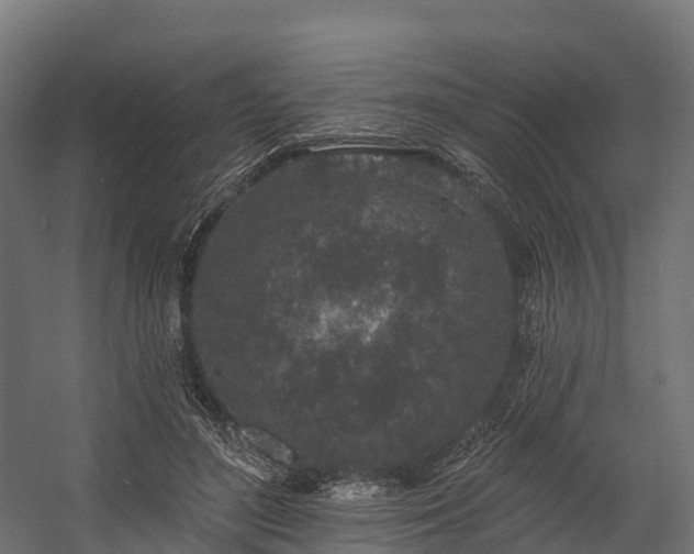 X0000058810500200510031350